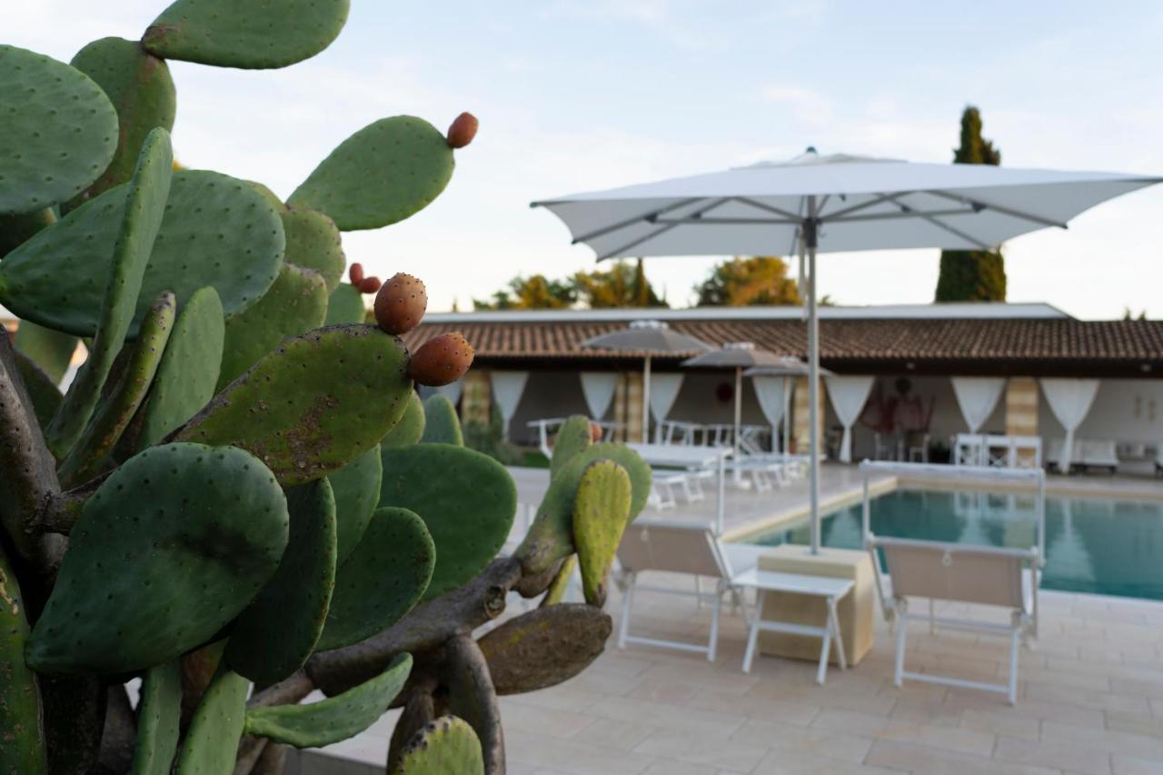 Masseria Tenuta Flora Maria 莱韦拉诺 外观 照片