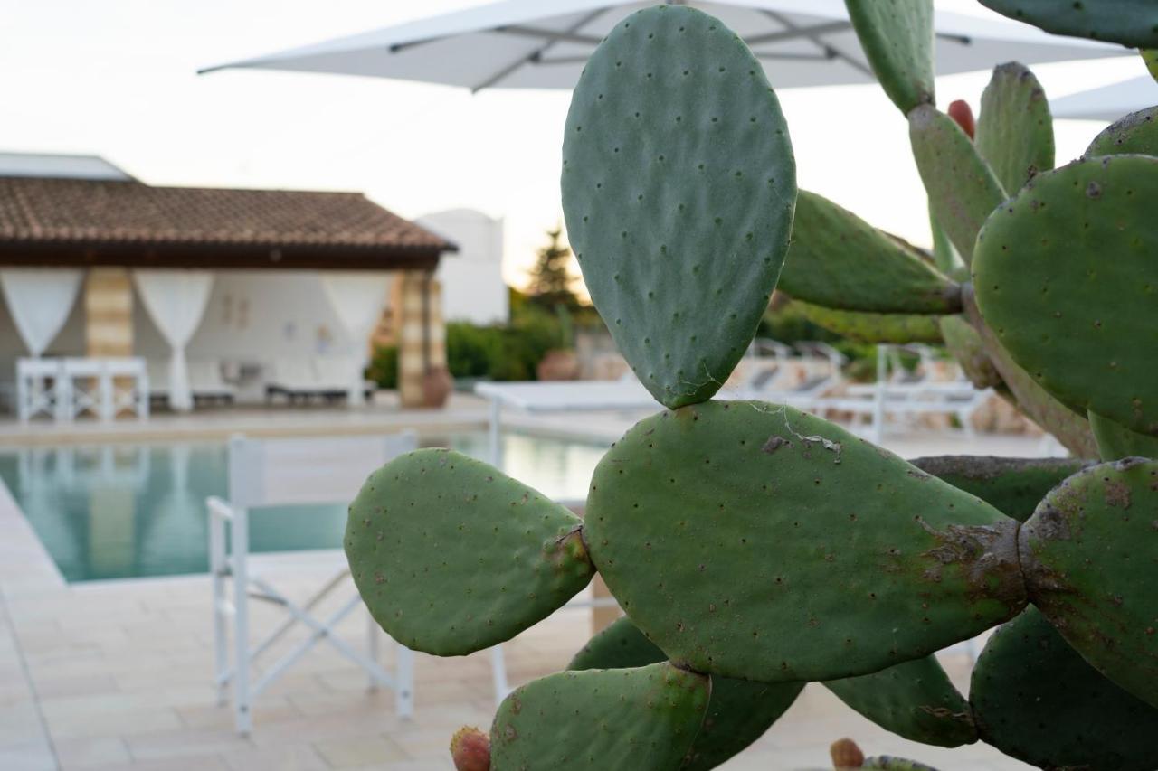 Masseria Tenuta Flora Maria 莱韦拉诺 外观 照片