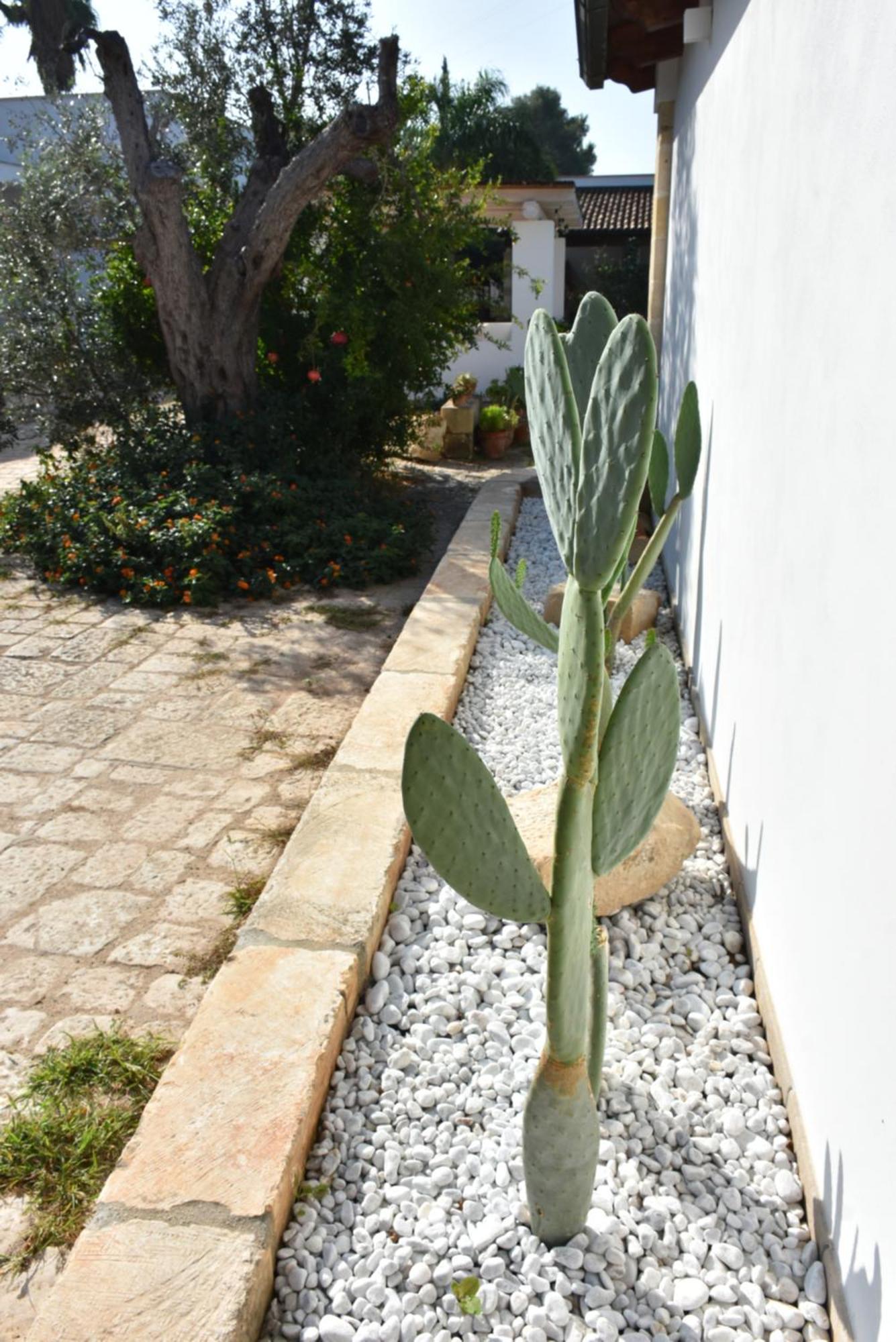 Masseria Tenuta Flora Maria 莱韦拉诺 外观 照片